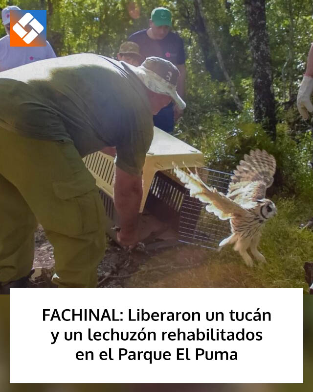 FACHINAL: Liberaron un tucán y un lechuzón rehabilitados en el Parque El Puma