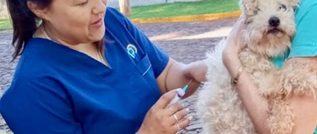 PUERTO RICO: Jornada de vacunación antirrábica y entrega de tratamientos para mascotas