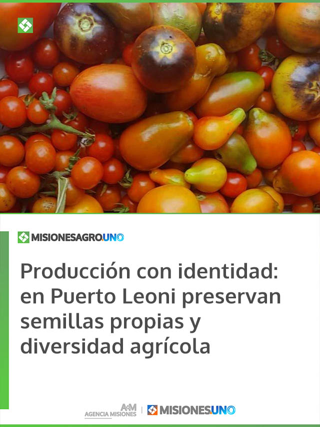 Producción con identidad: en Puerto Leoni preservan semillas propias y diversidad agrícola