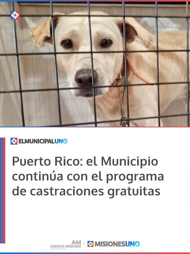 Puerto Rico: el Municipio continúa con el programa de castraciones gratuitas
