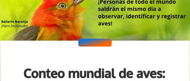 Conteo mundial de aves: Puerto Rico se suma con una jornada en el Monte Seguín